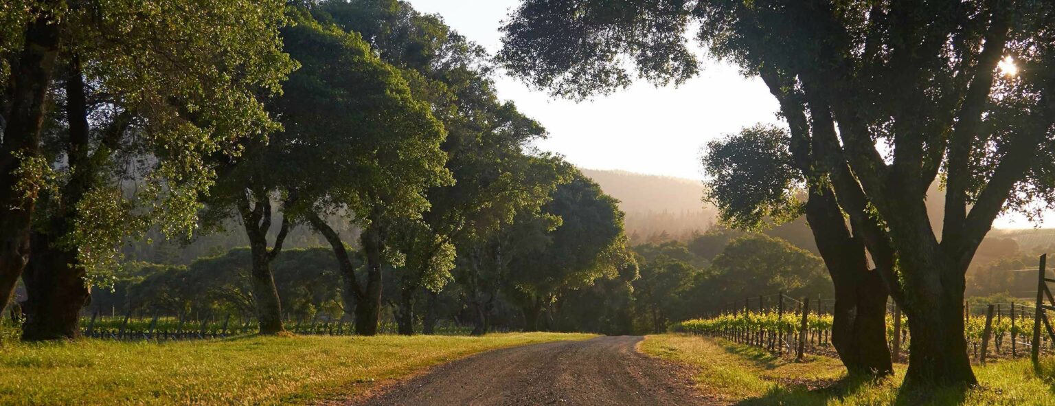 Anderson Valley Estate Long Meadow Ranch