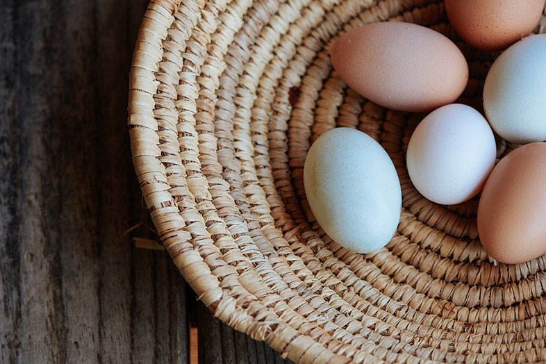 winter_3_Eggs_edit Eggs