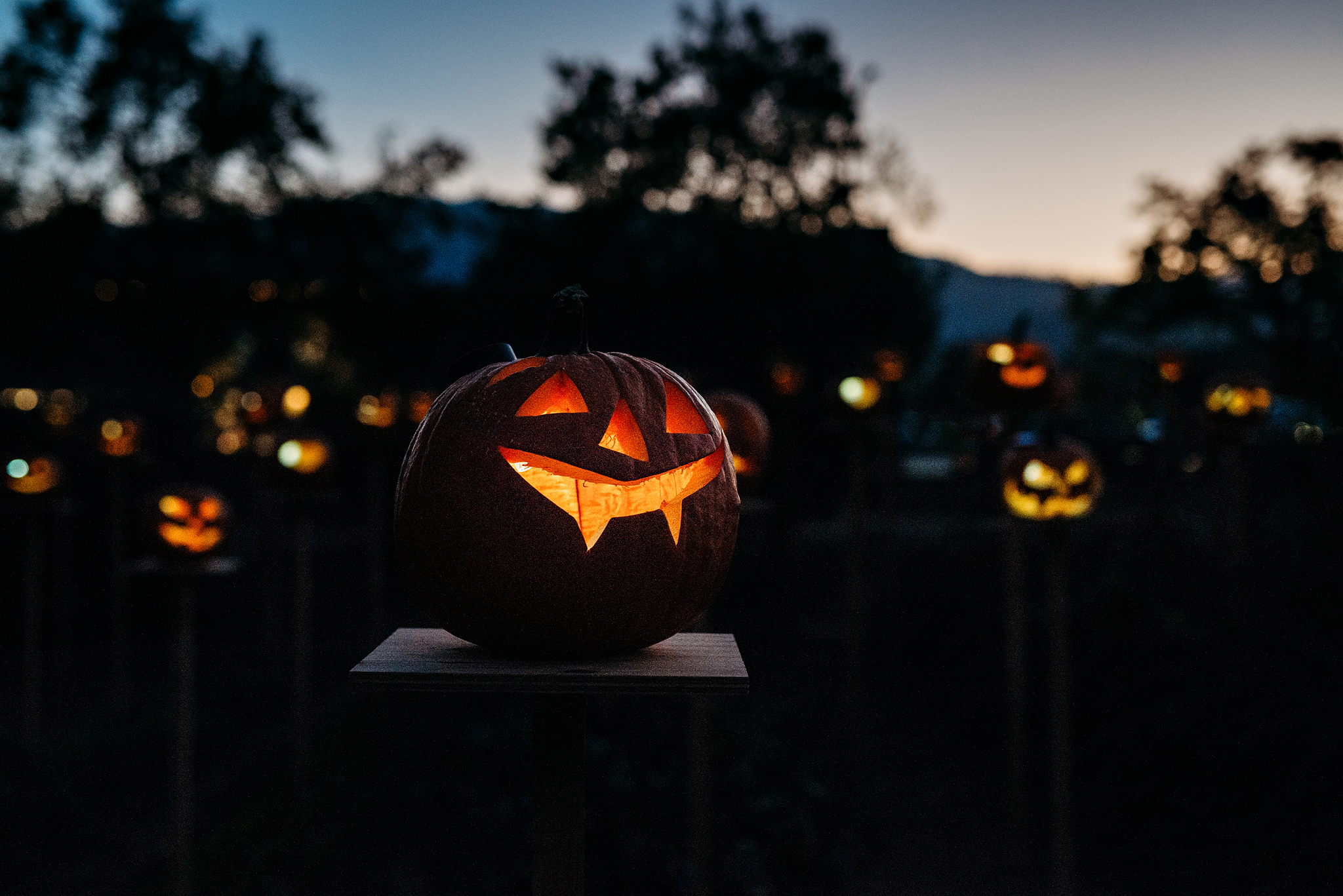 LMR_Farmstead_FloatingPumpkins-6427 WEB Lit up Jack-o-Lanterns