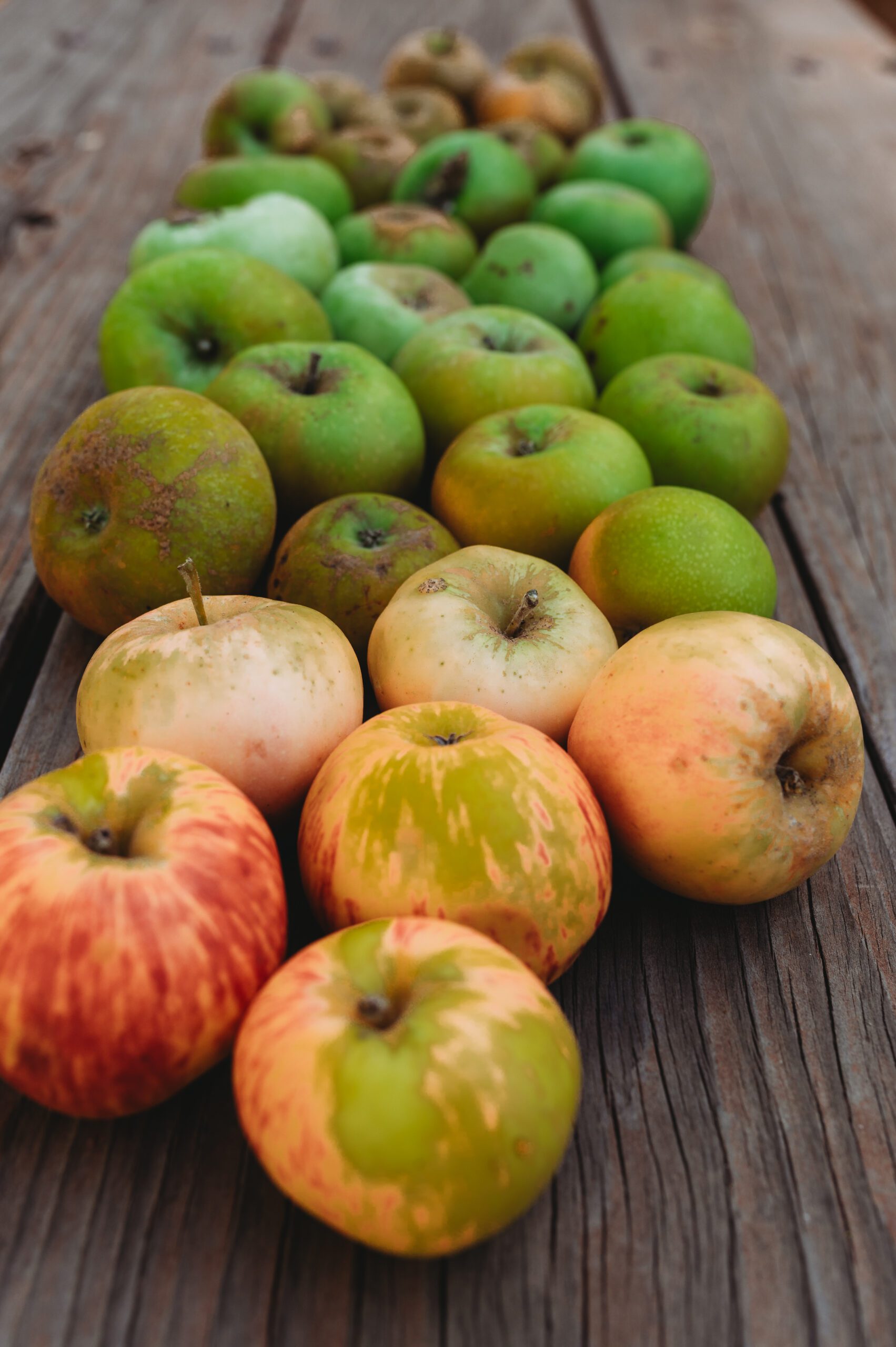LMR_Cider_2022-3927 Apples on a wooden table