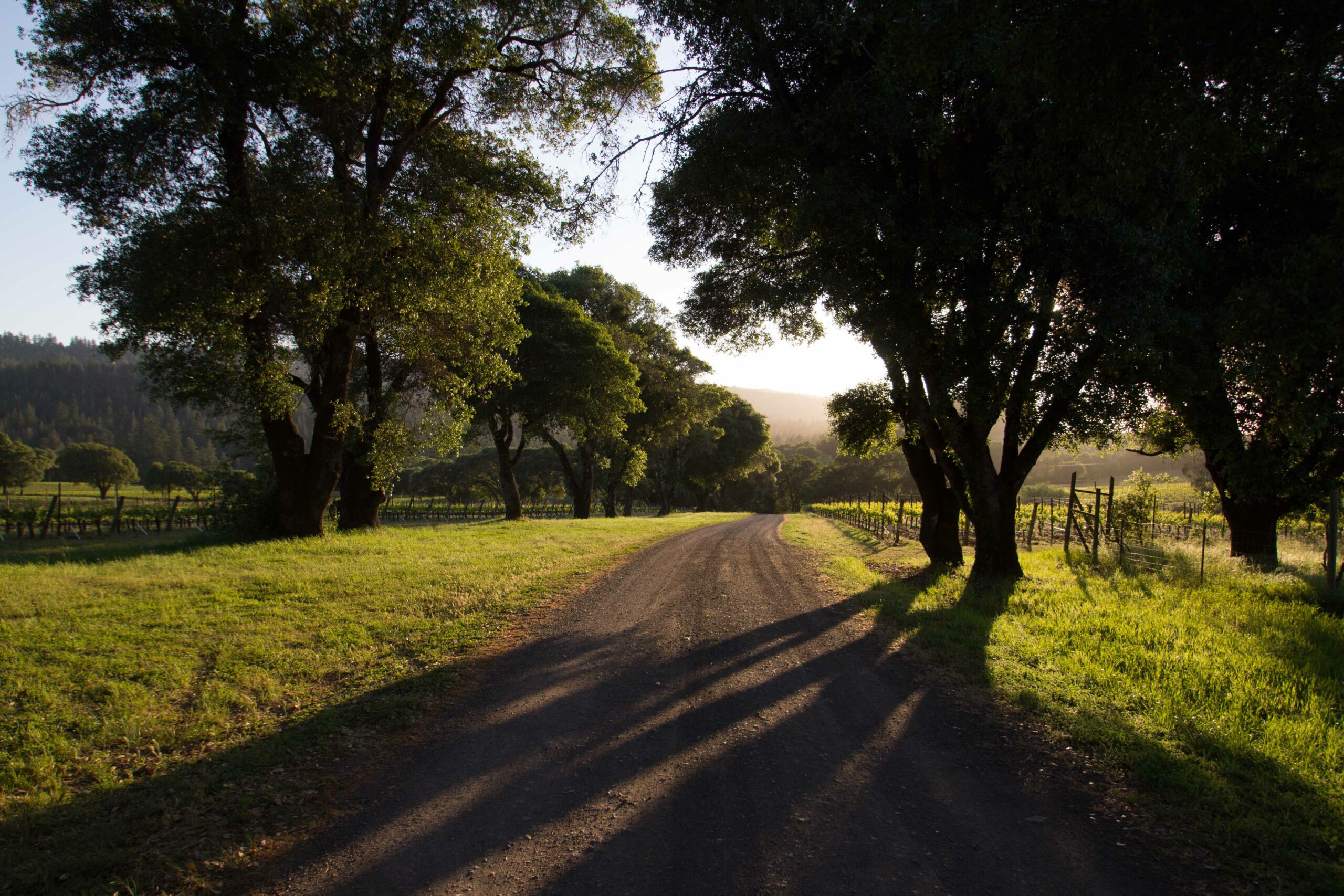 IMG_2326 (1) Dirt road