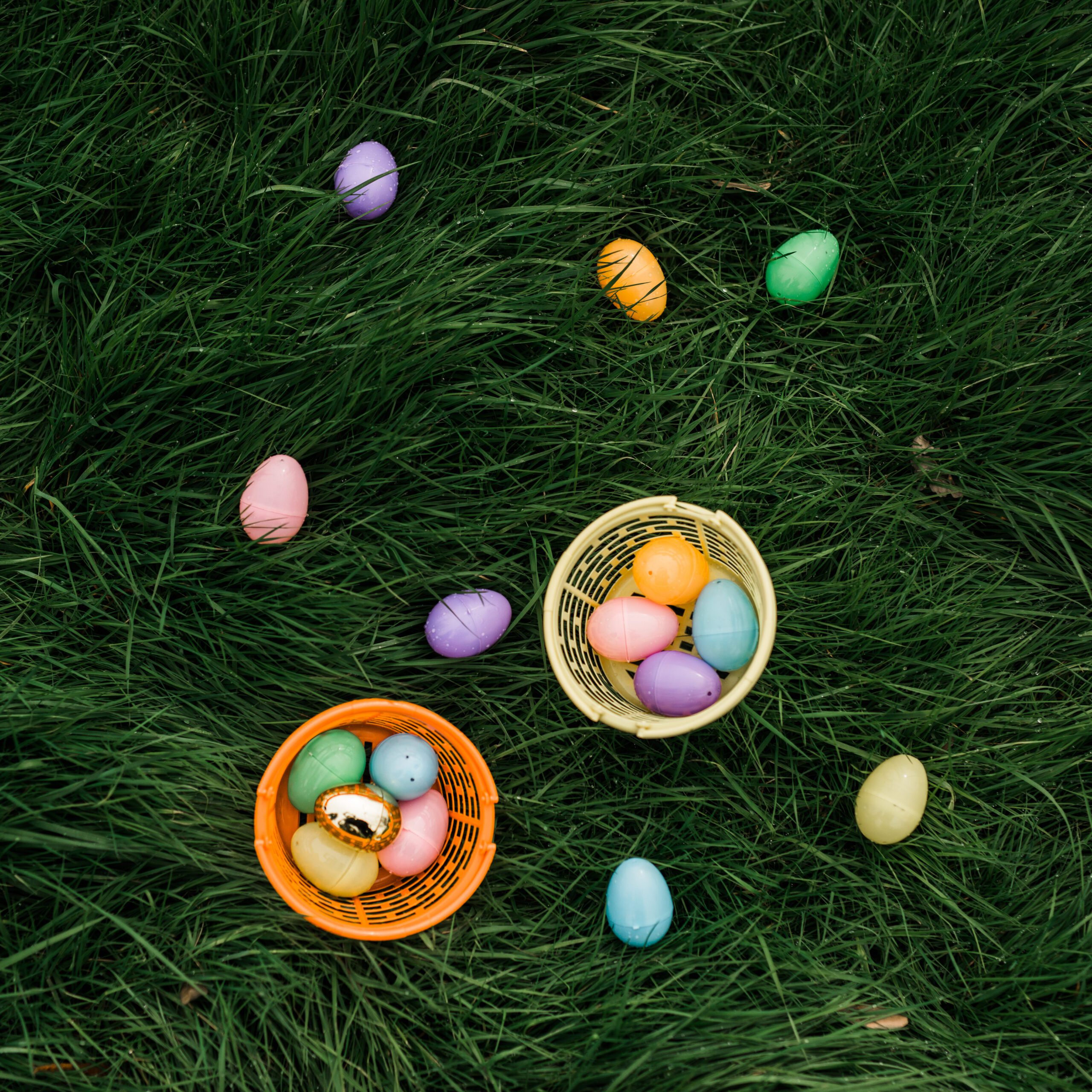 egg hunt