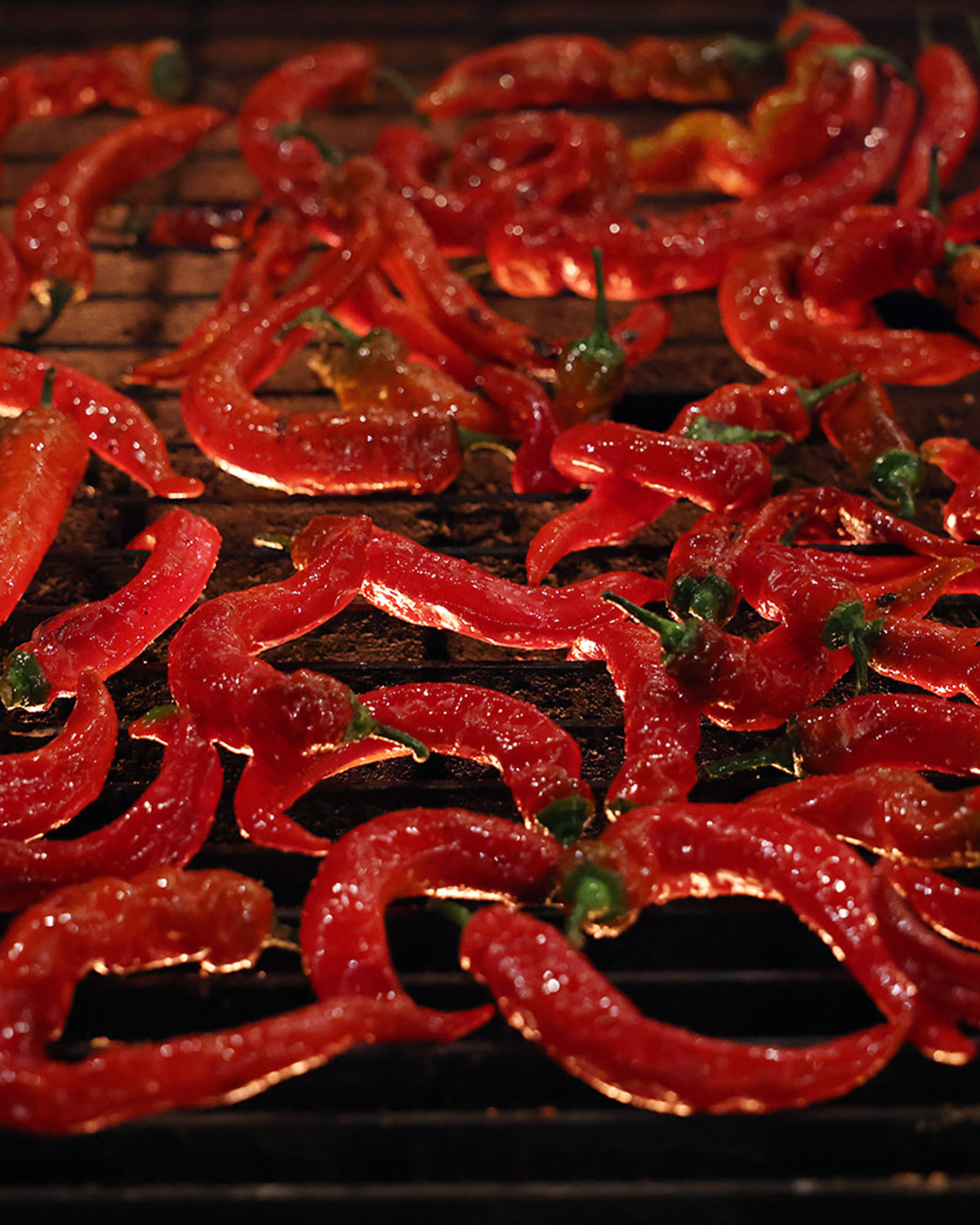 Live_Fire_Johan_Jureskog-0283