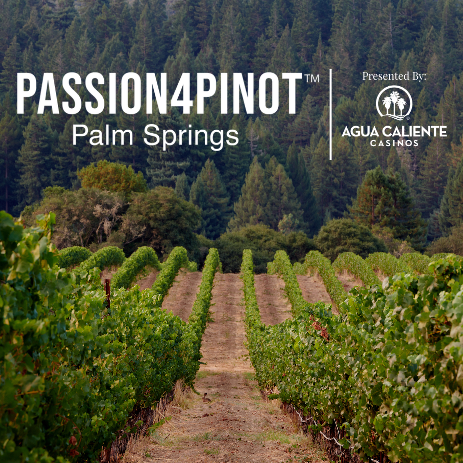 passionforpinotpalmsprings